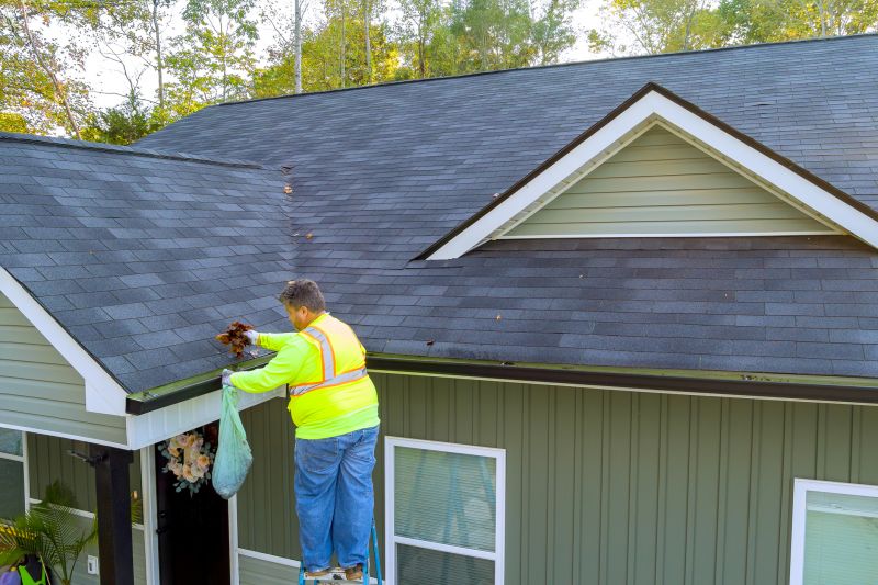 Residential Gutter Cleaning